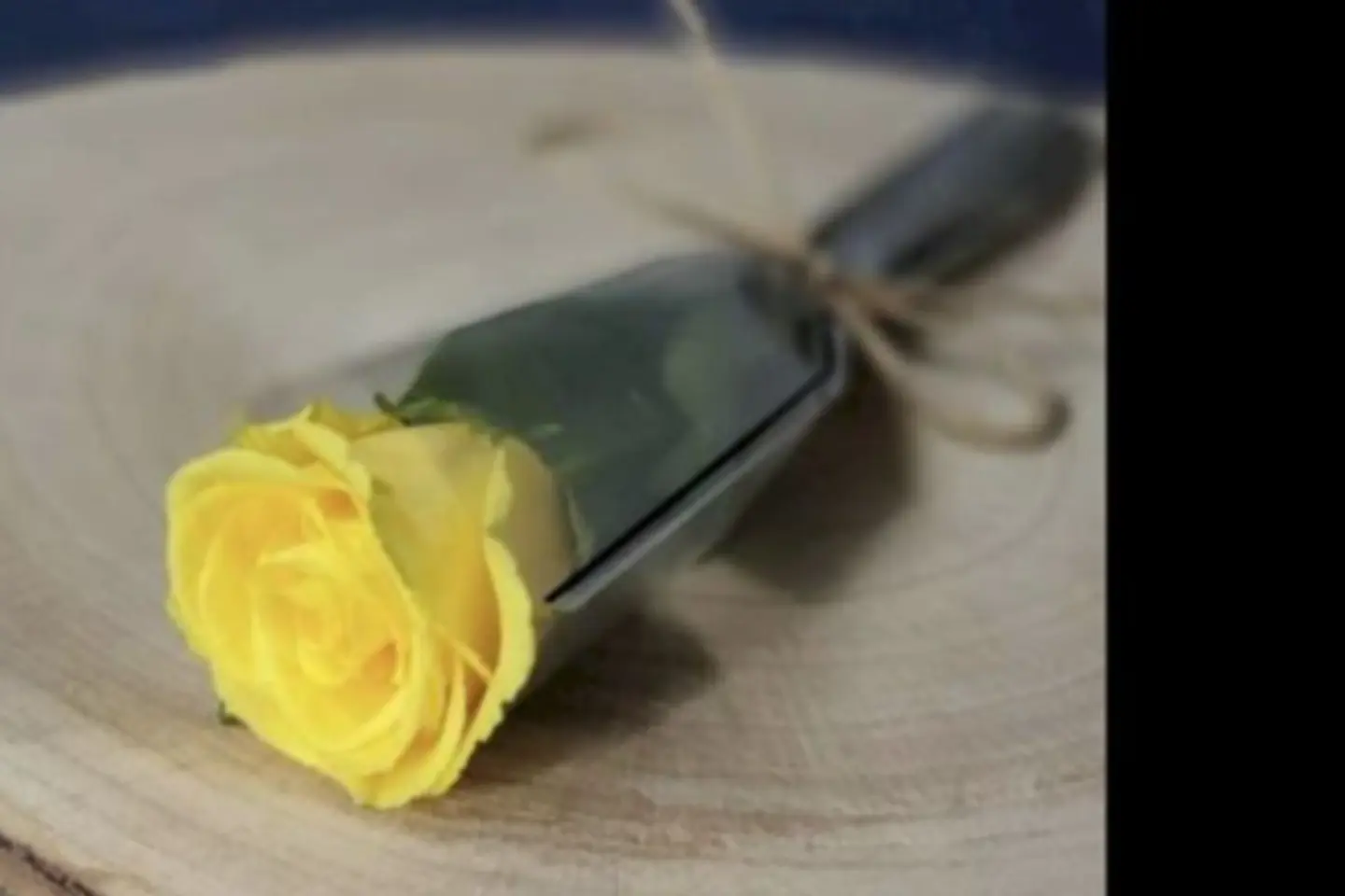 Yellow Rose