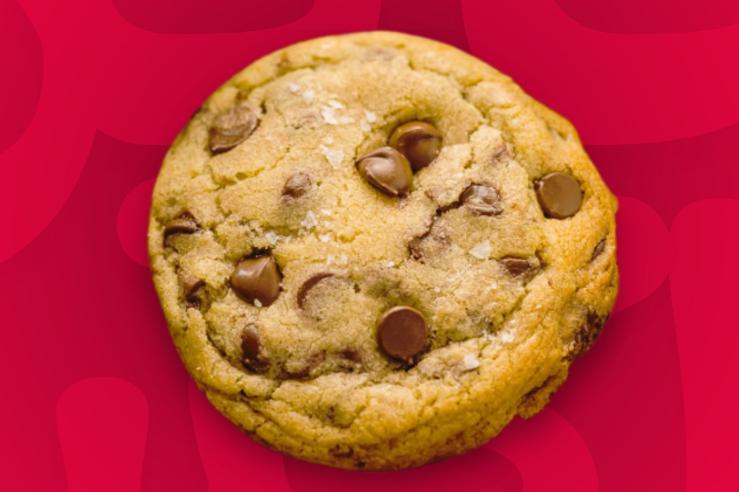 Chocolate Cookies