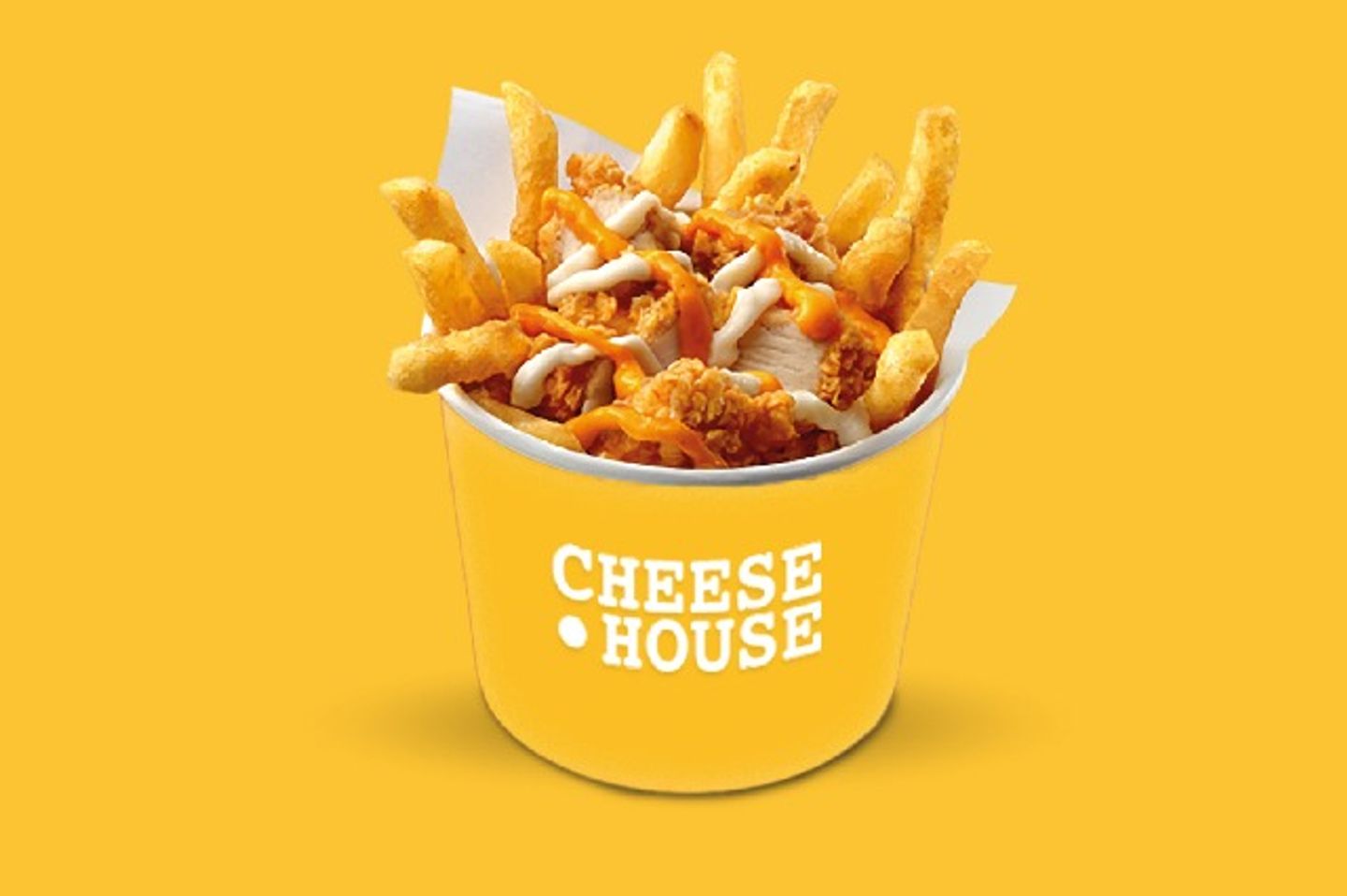 Preskit Fries