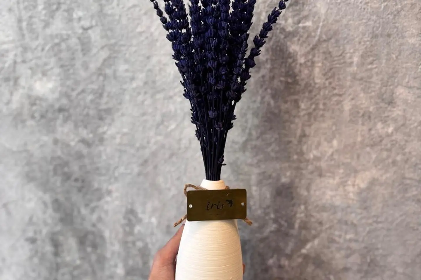 فازة اللافندر