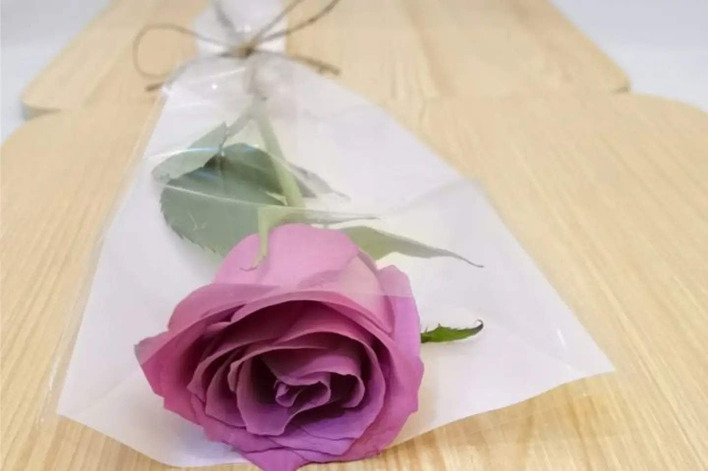 توزيعات بالحبه موف