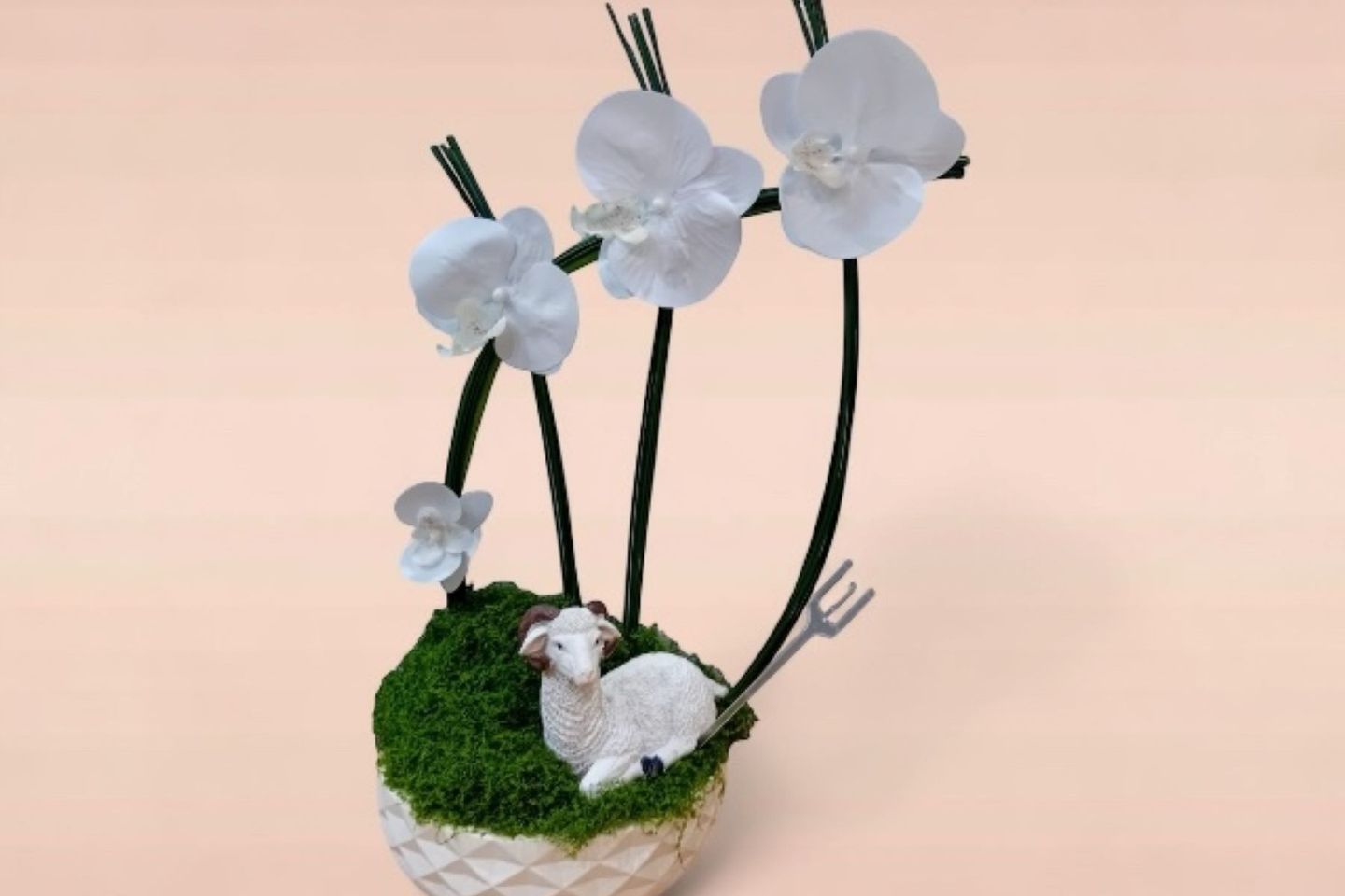 Eid Al Adha   Orchid With Lamb