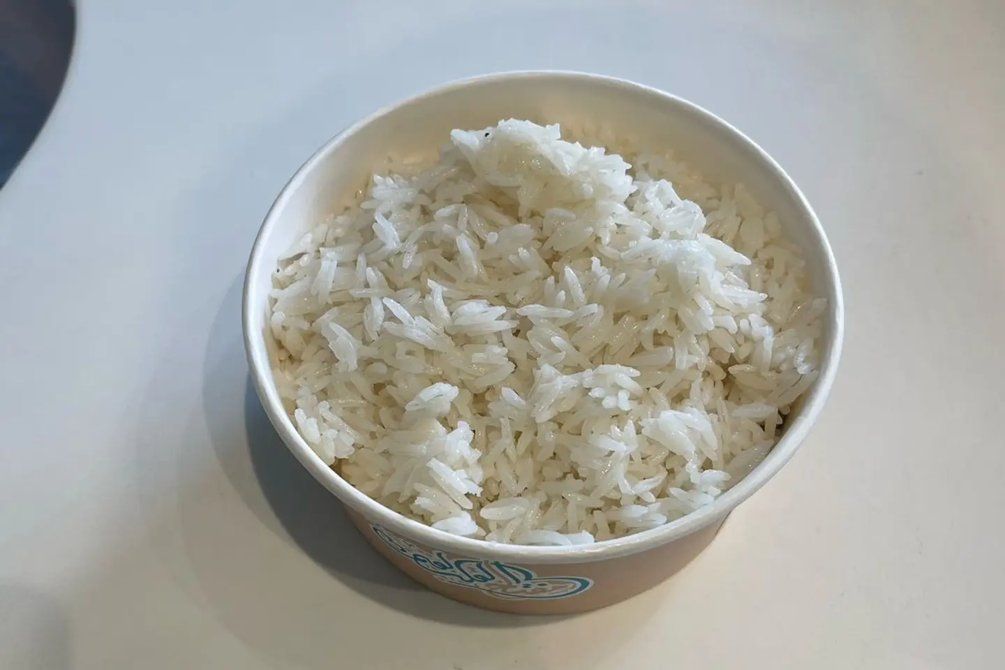 رز أبيض