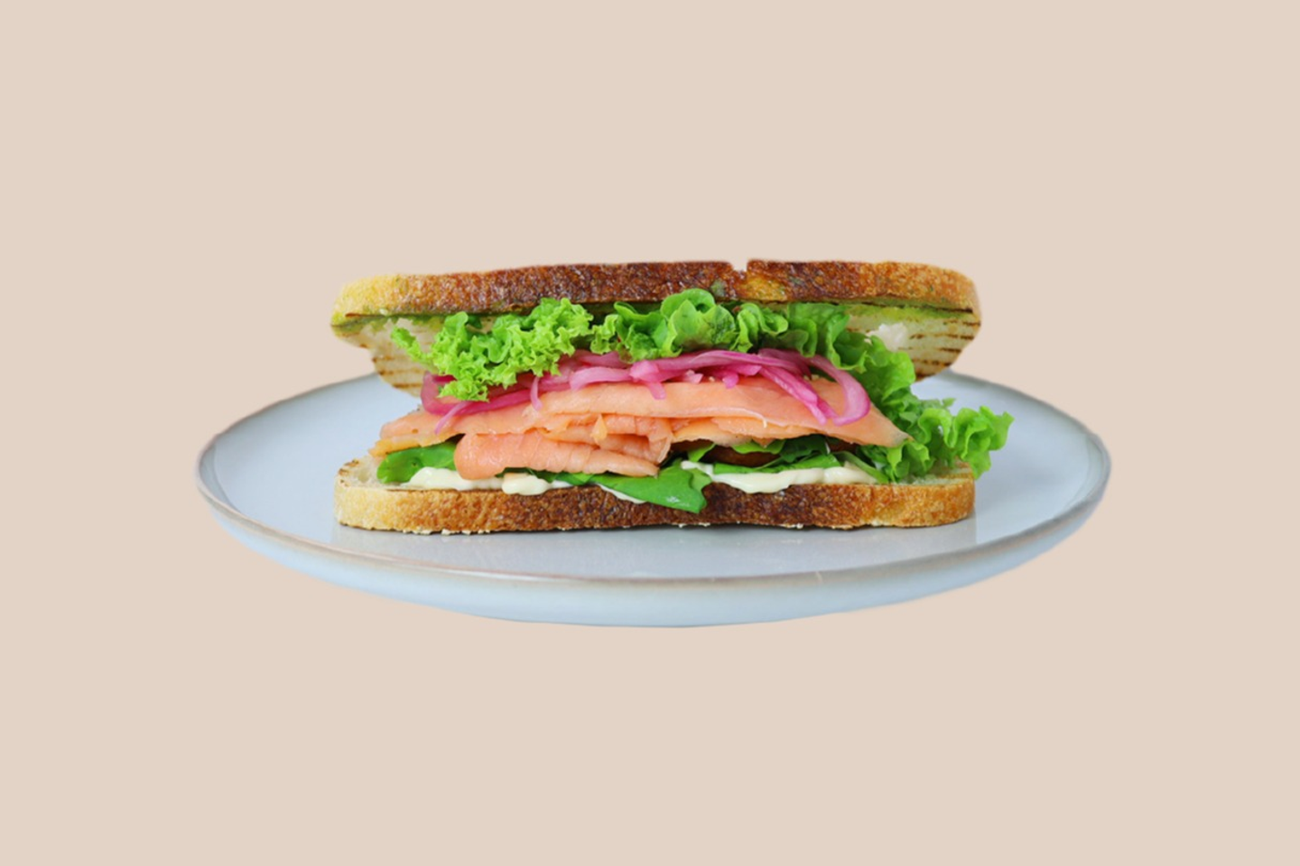 Salmon Sandwich