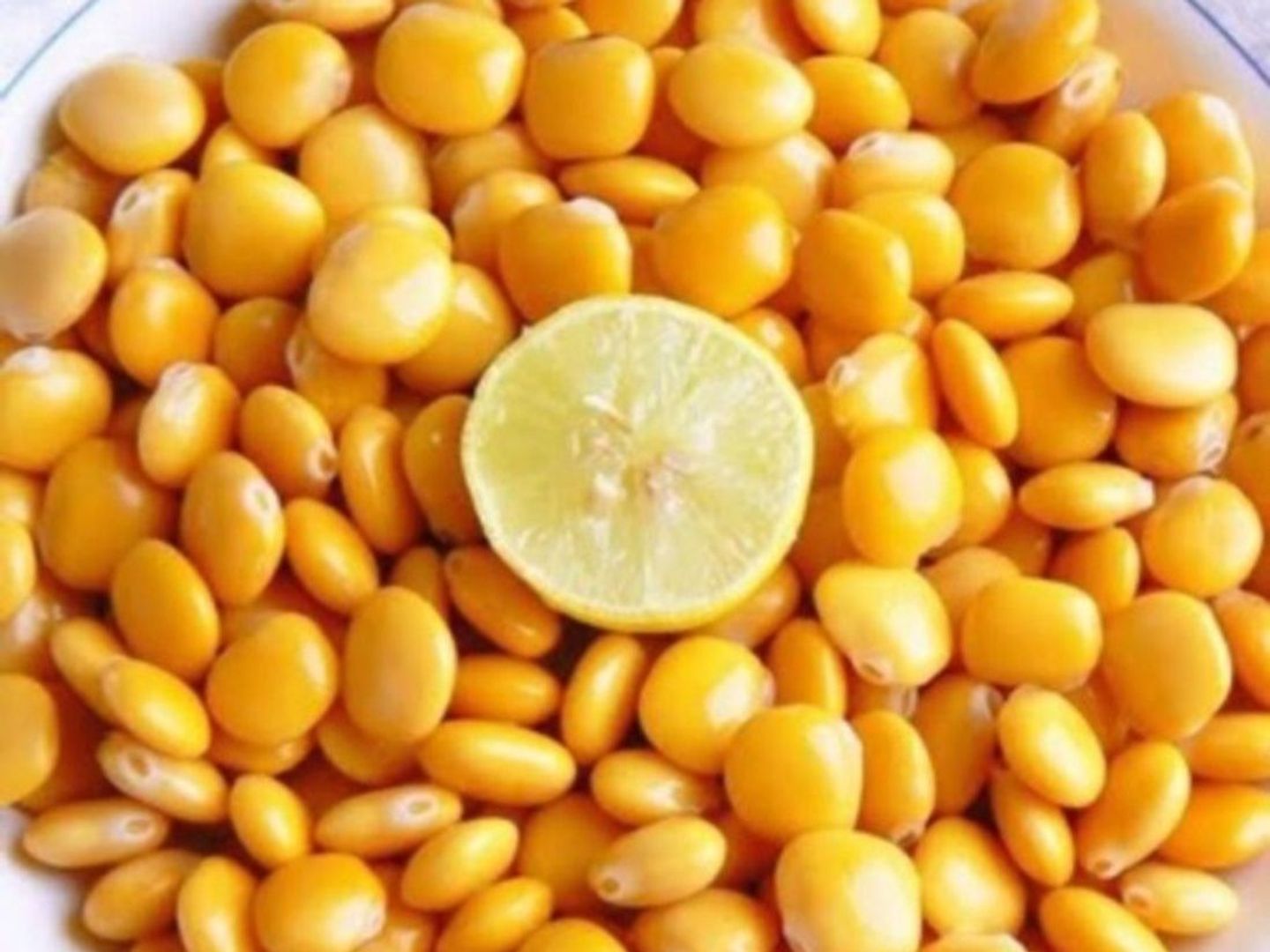 ترمس