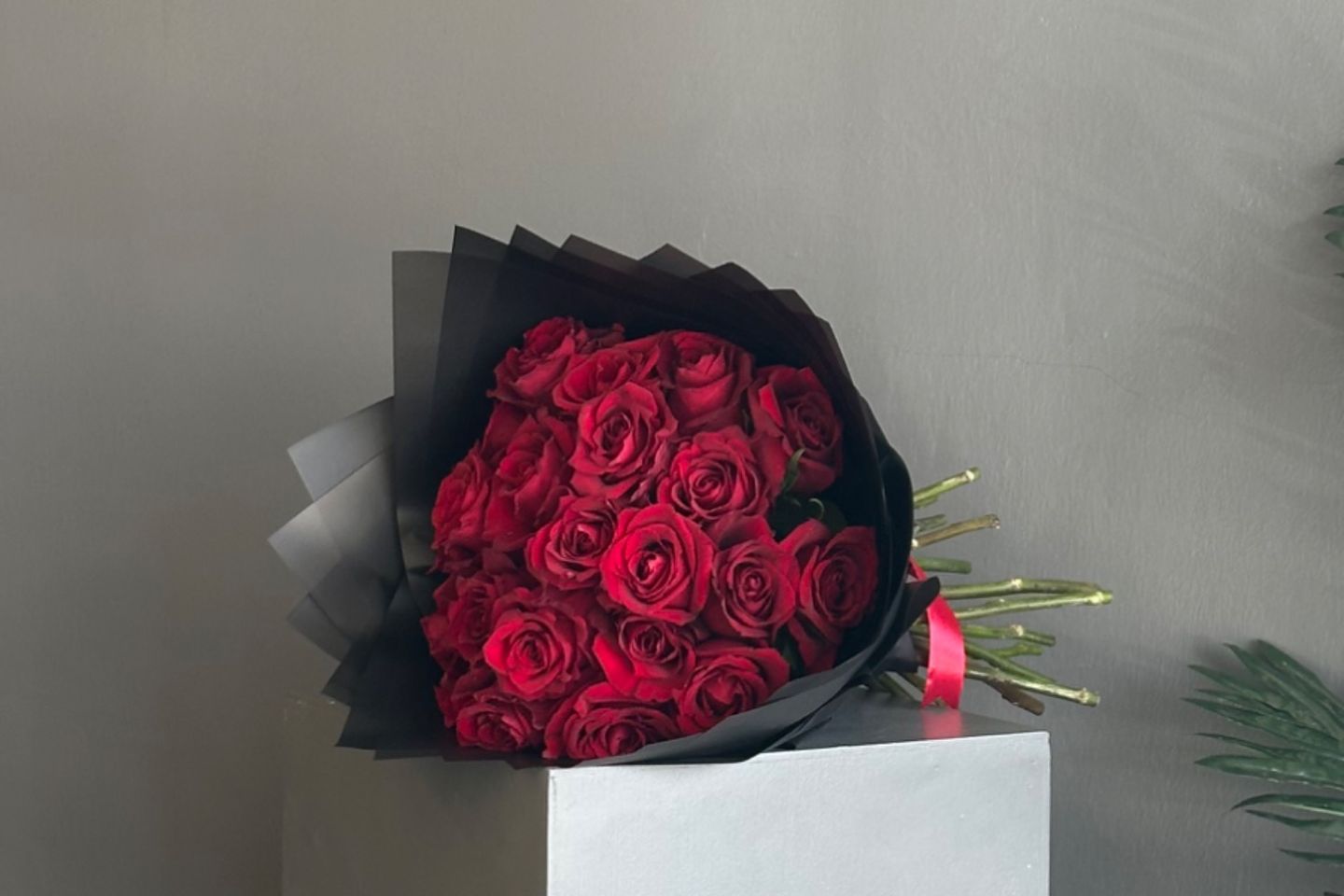 باقة رد جـوري