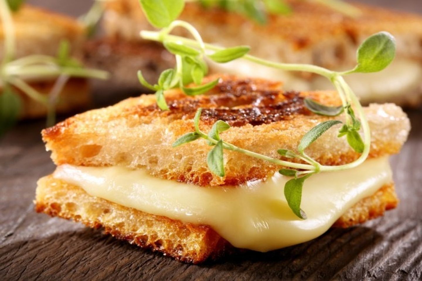 Cheese Sandwich