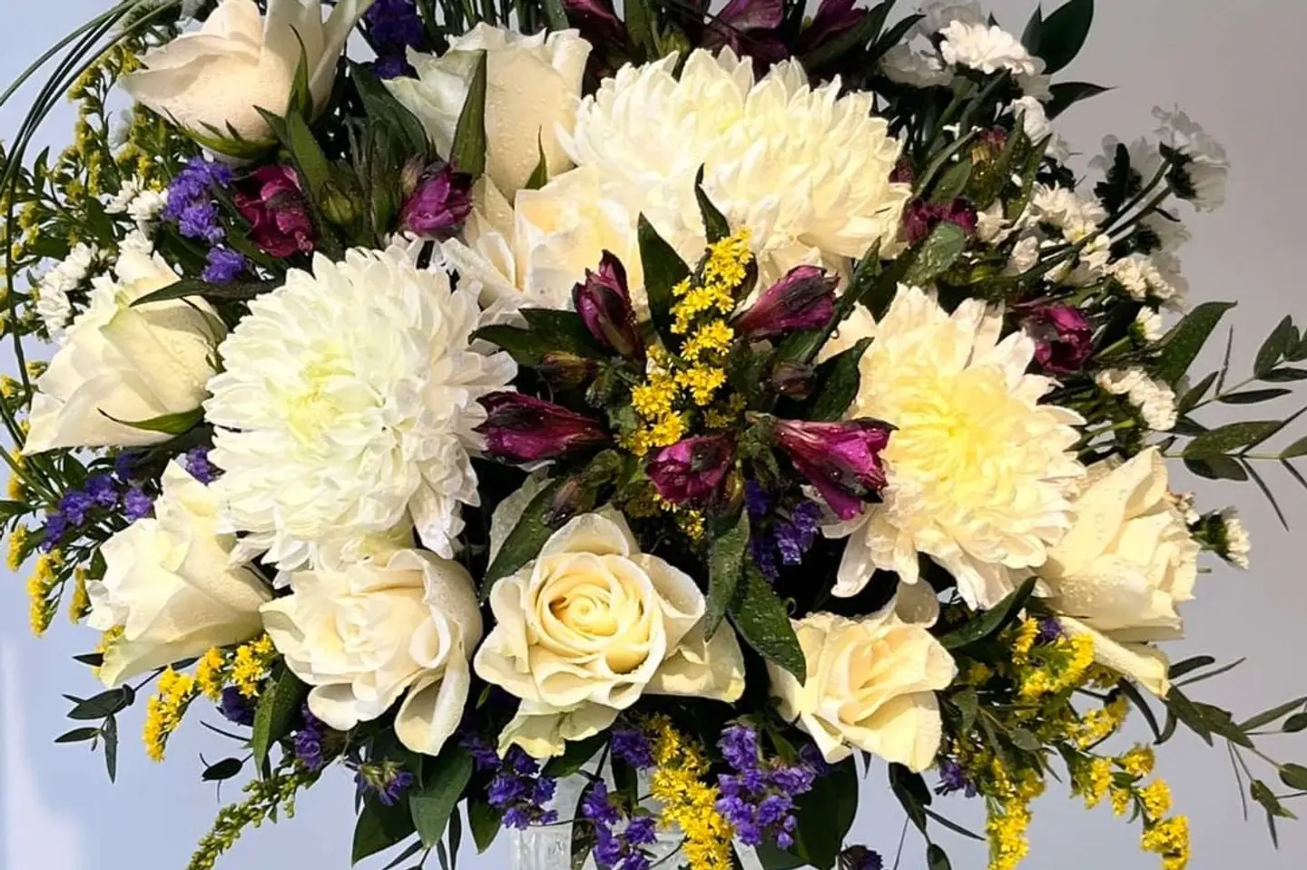 الفازا النقيه