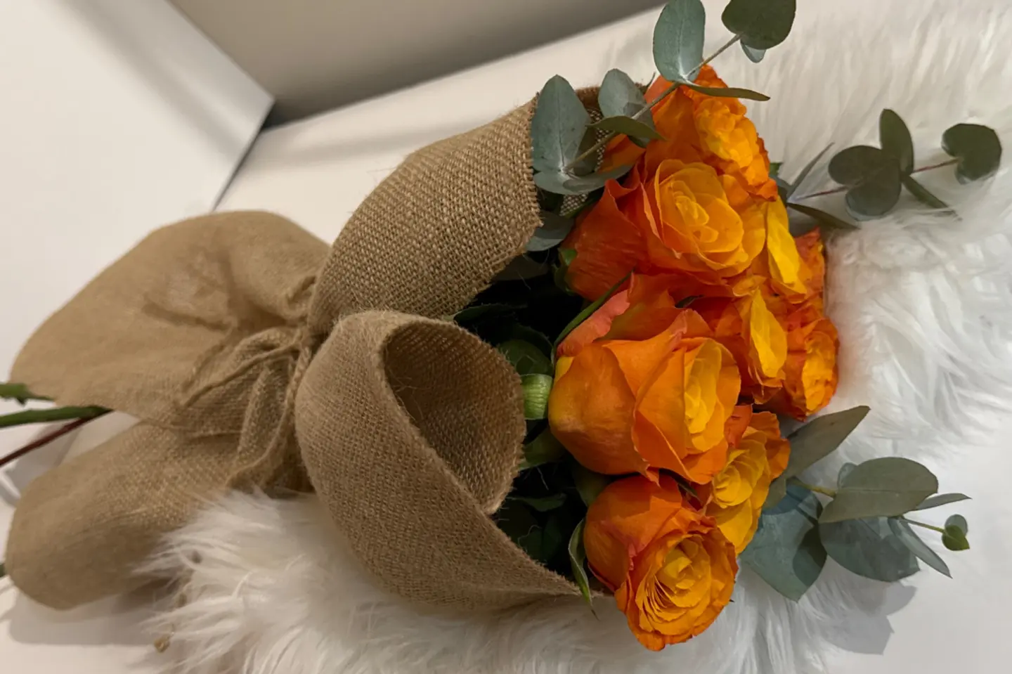 Orange Rose