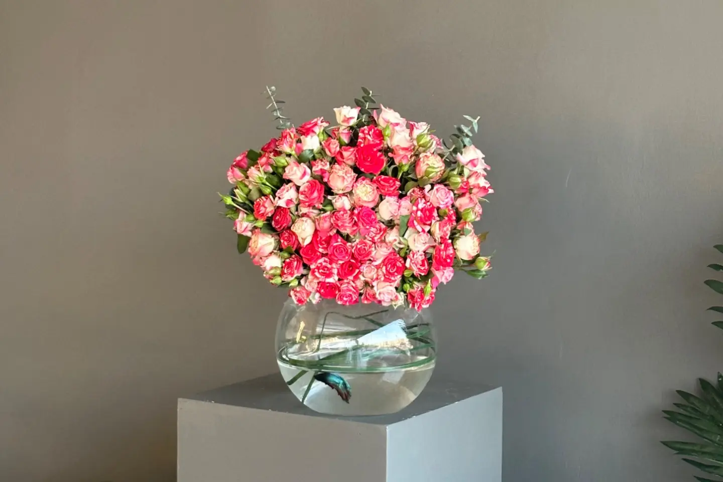 Flower Vase And Fighter Fish