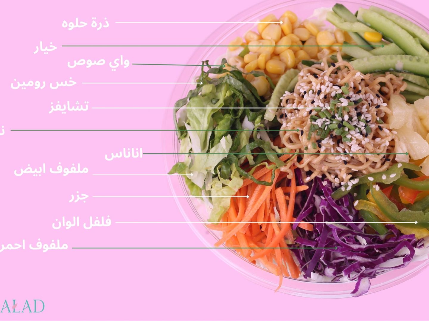 نودلز سالاد