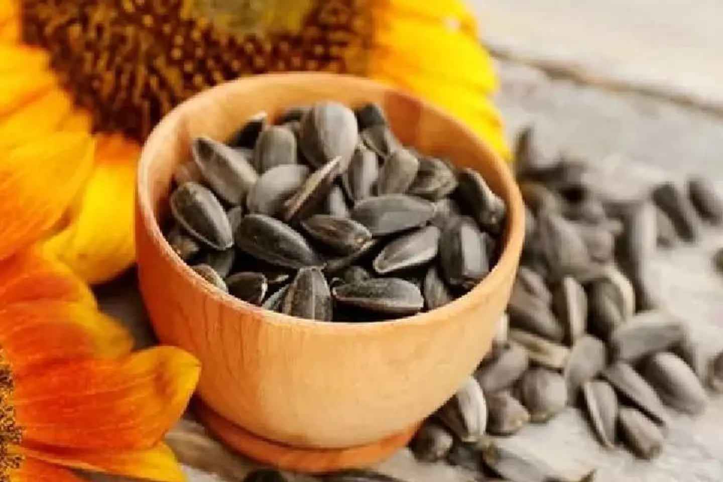 دور الشمس عادي 500 جرام