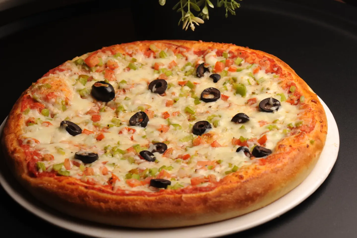 بيتزا القالب