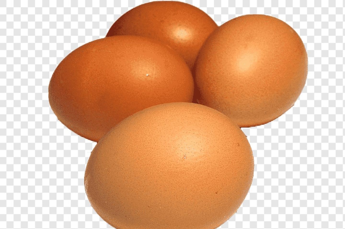 Egg