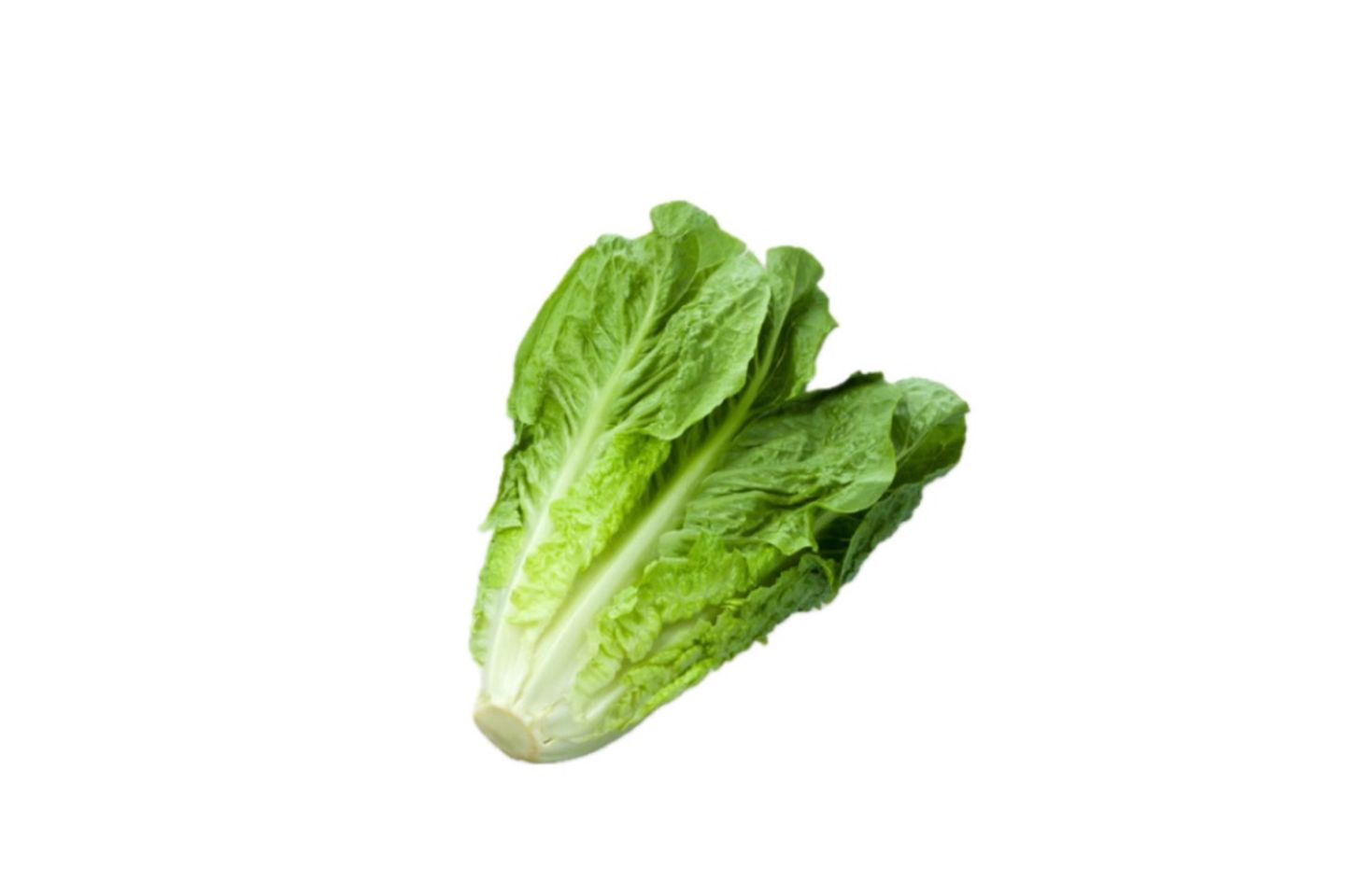 Local Lettuce 1 Bundle