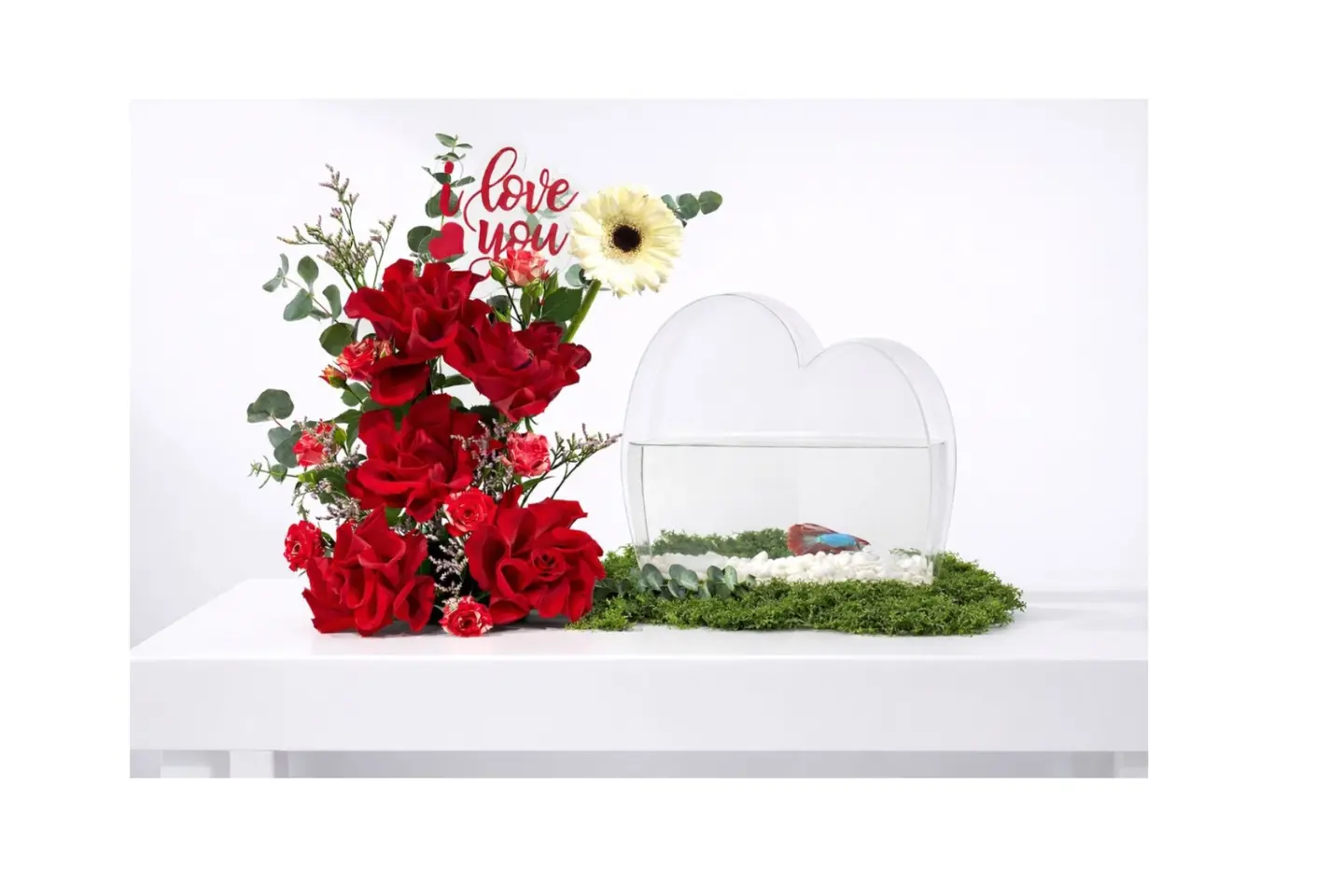 مزهرية حب السمك