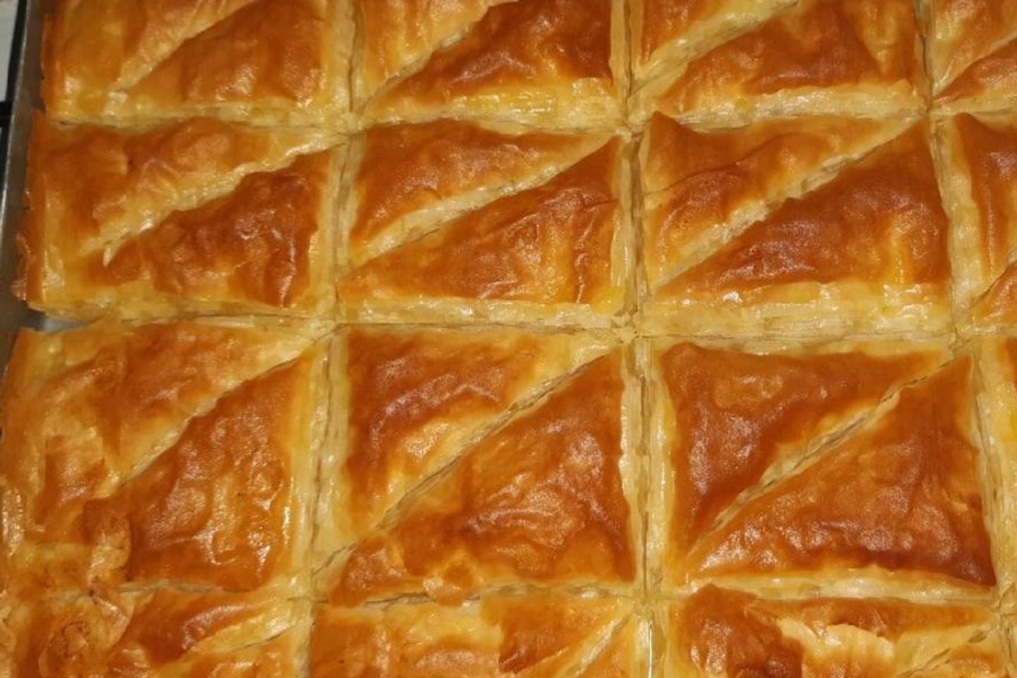 جلاش سادة - كيلو جلاش سادة