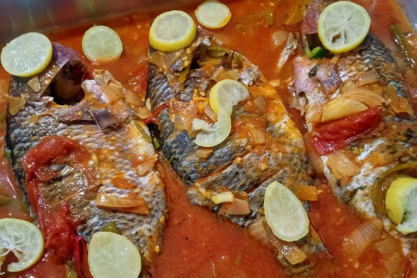 بلطي صيادية
