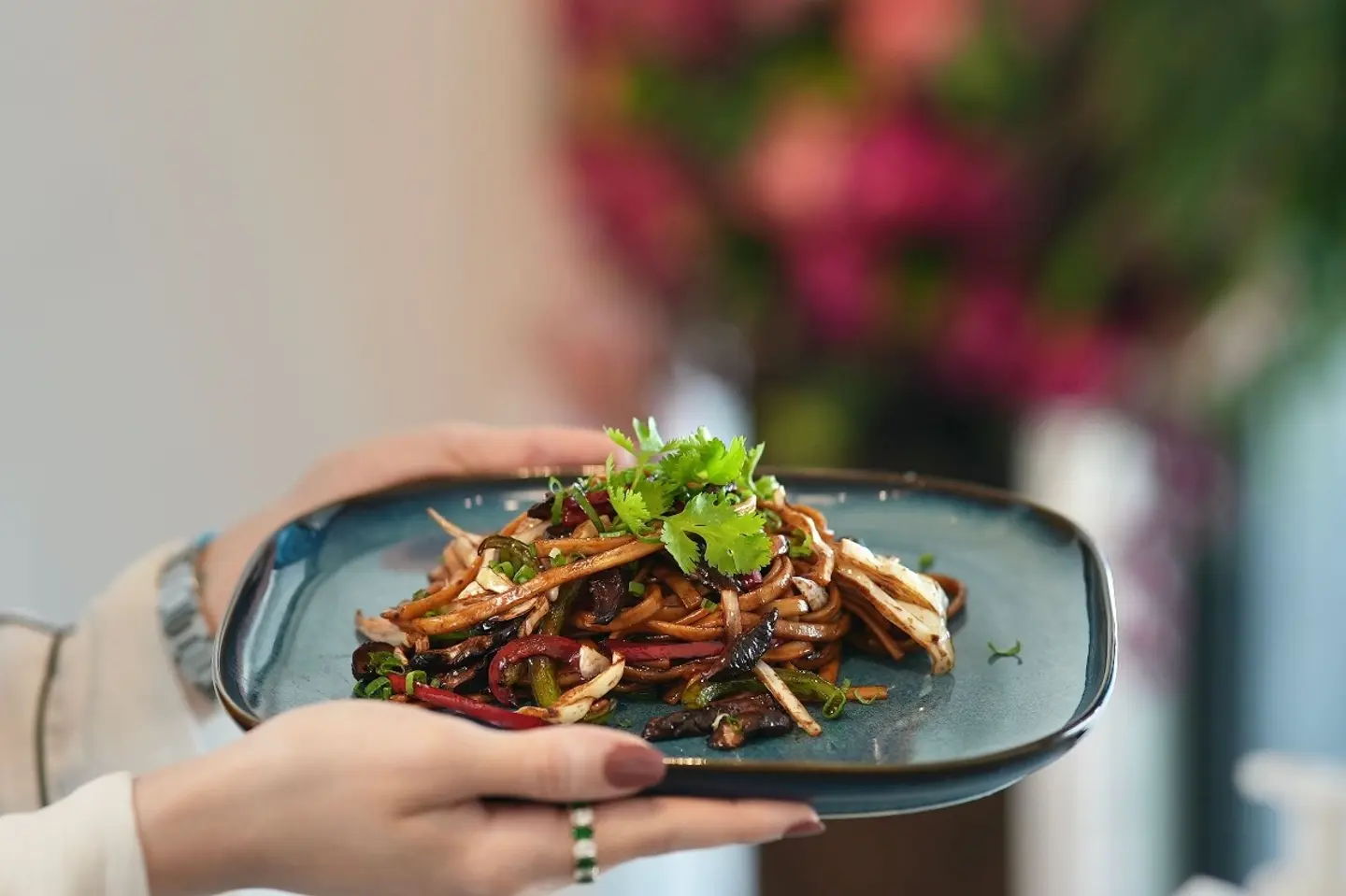 Meat Noodles