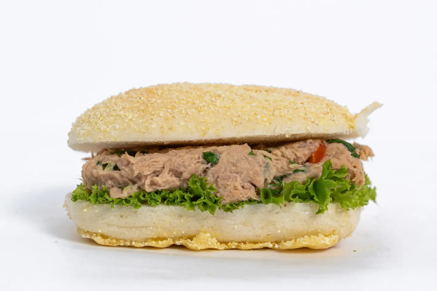 سااندوتش تونه