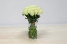 White Rose Vase
