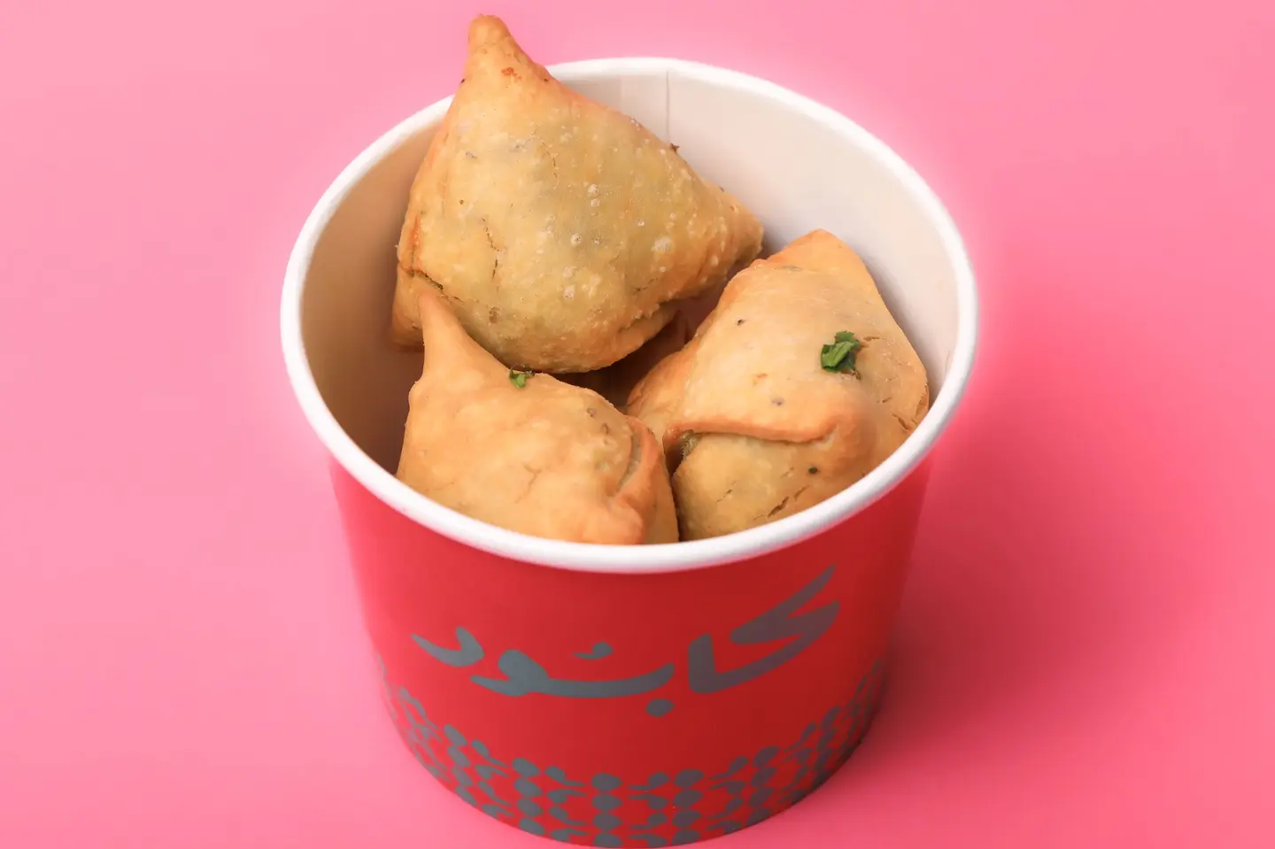 Vegetable Samosa