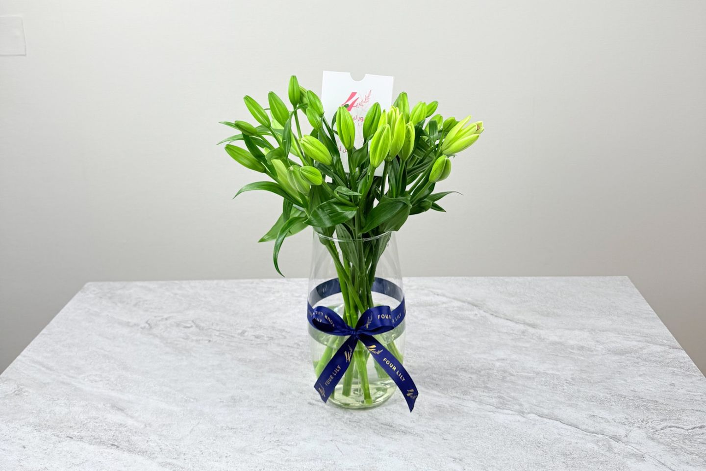 Faza Lily