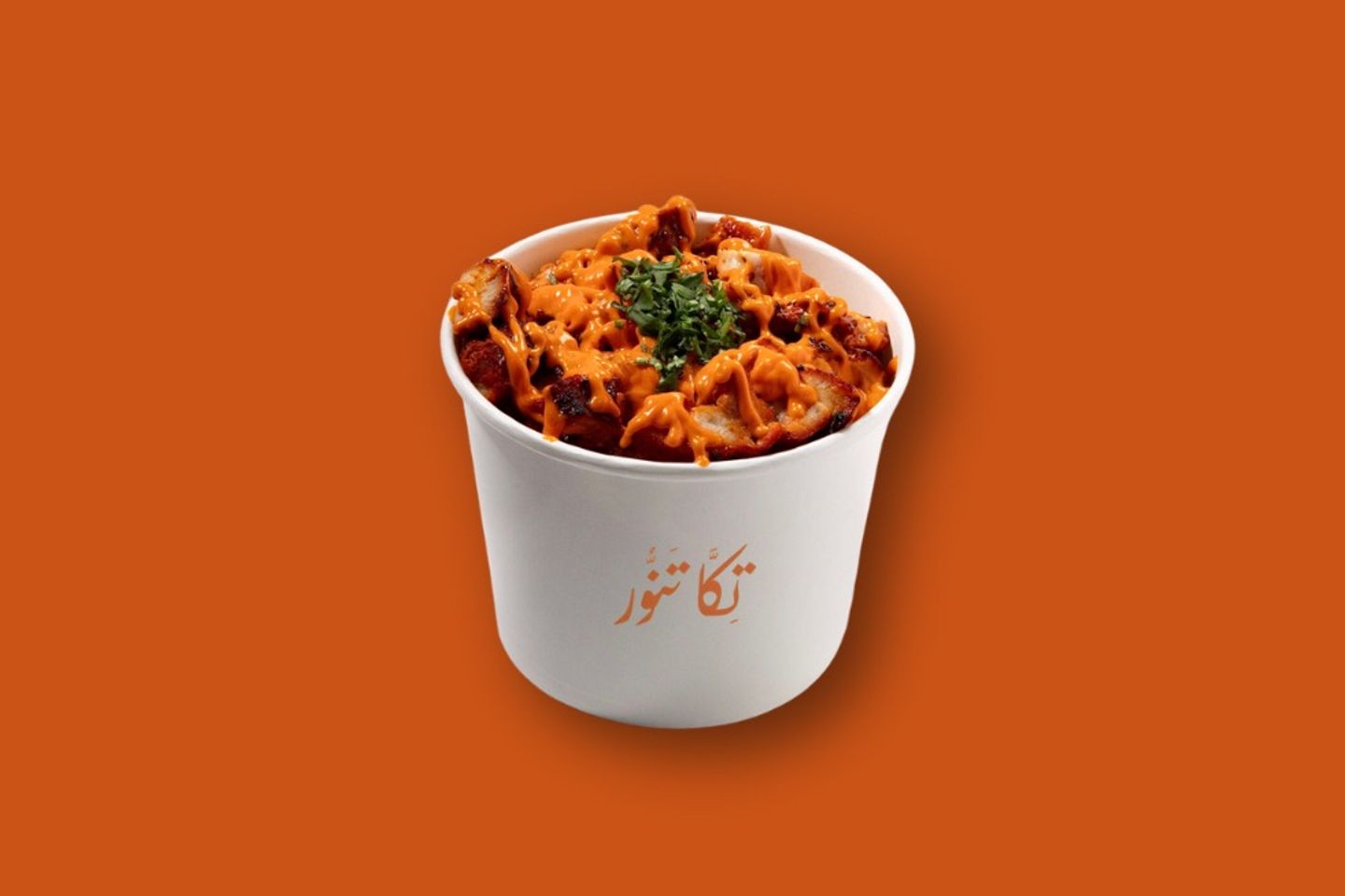 Tikka Fries