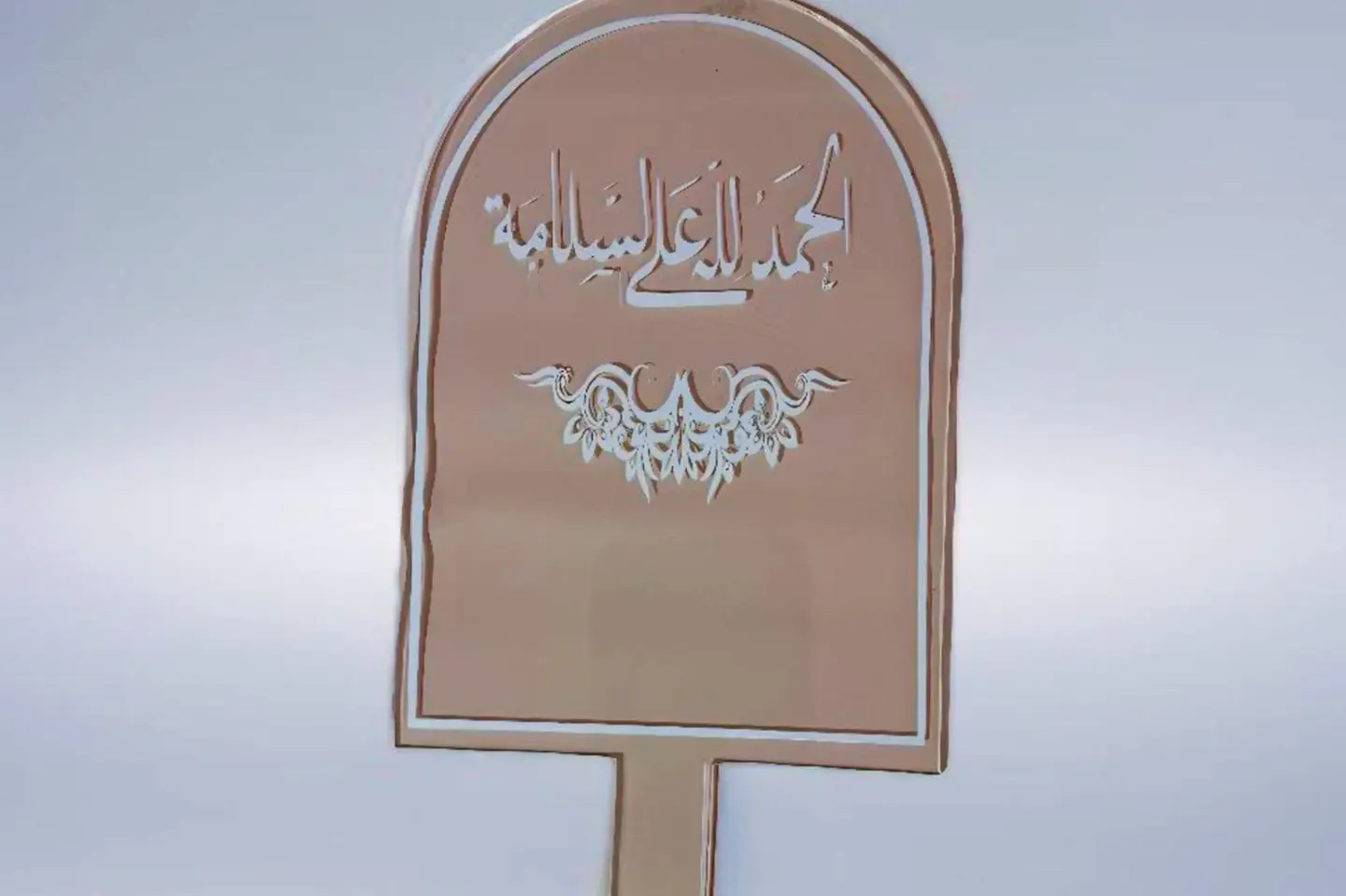 تغريسة الحمدلله على السلامة