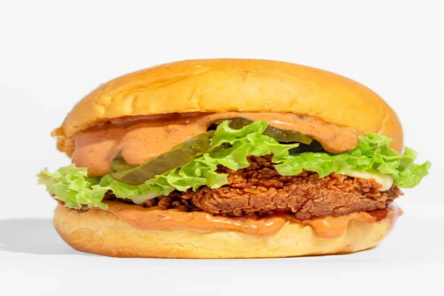 Spicy Burger Sandwich