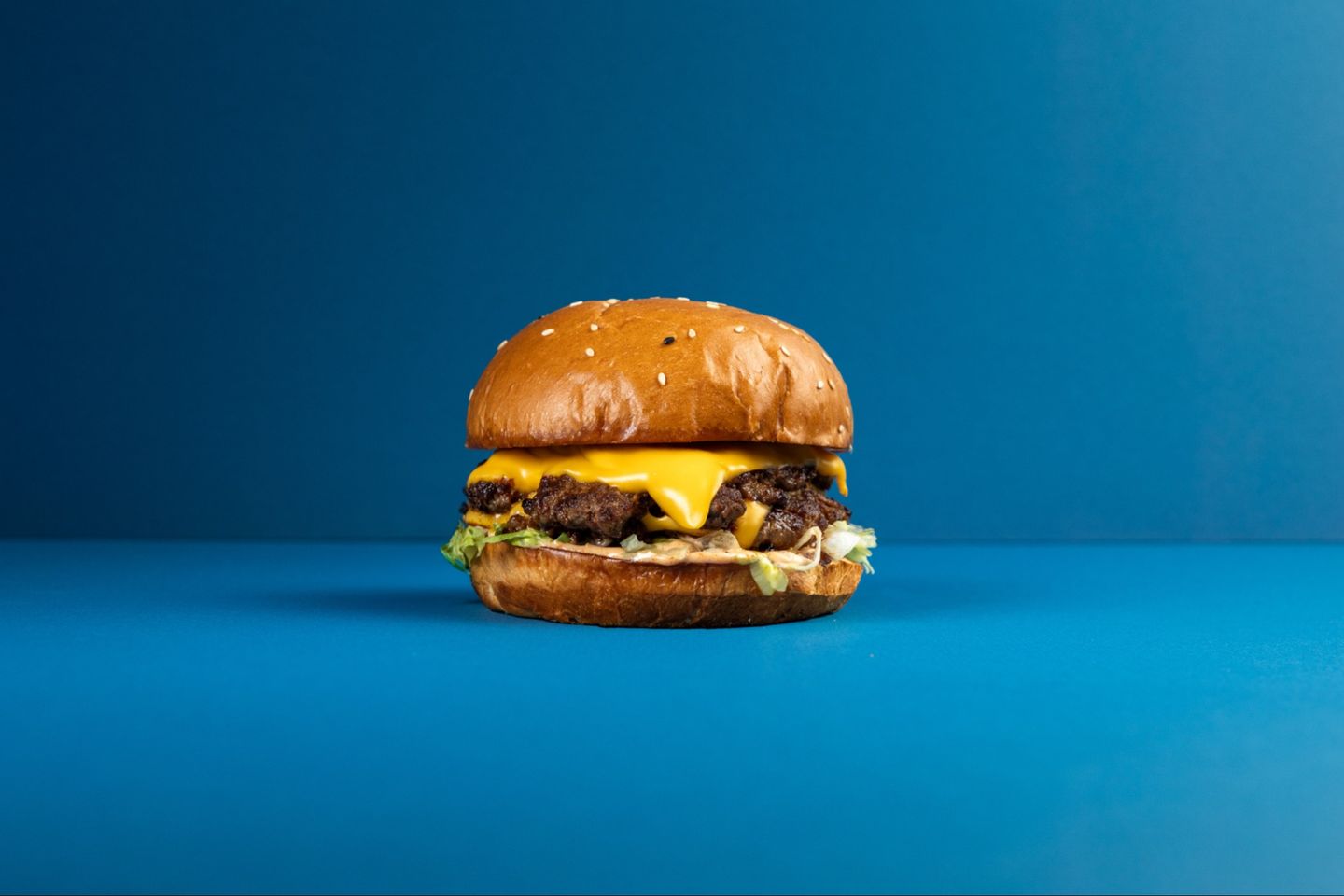 Fatty Burger Single