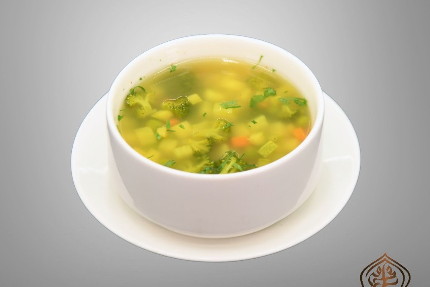 Healthy Veggie Soup