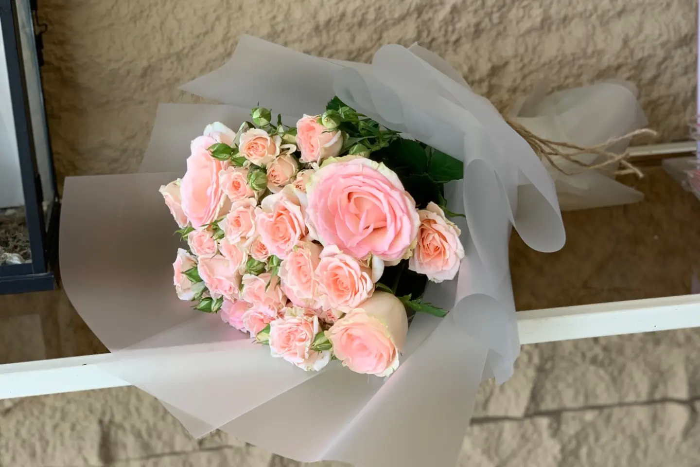 Rose 22
