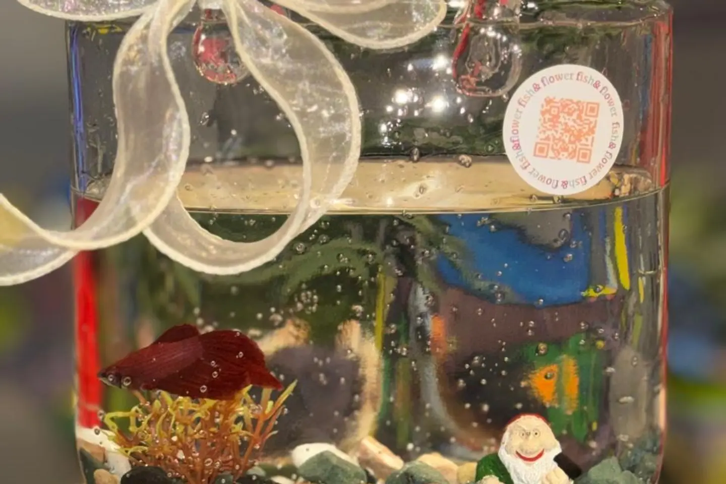 حقيبة الفايتر والقزم السعيد