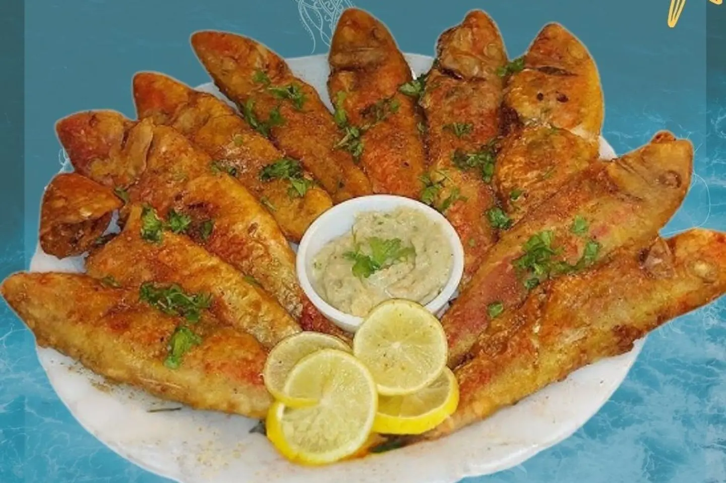 السلطان ابراهيم بربوني