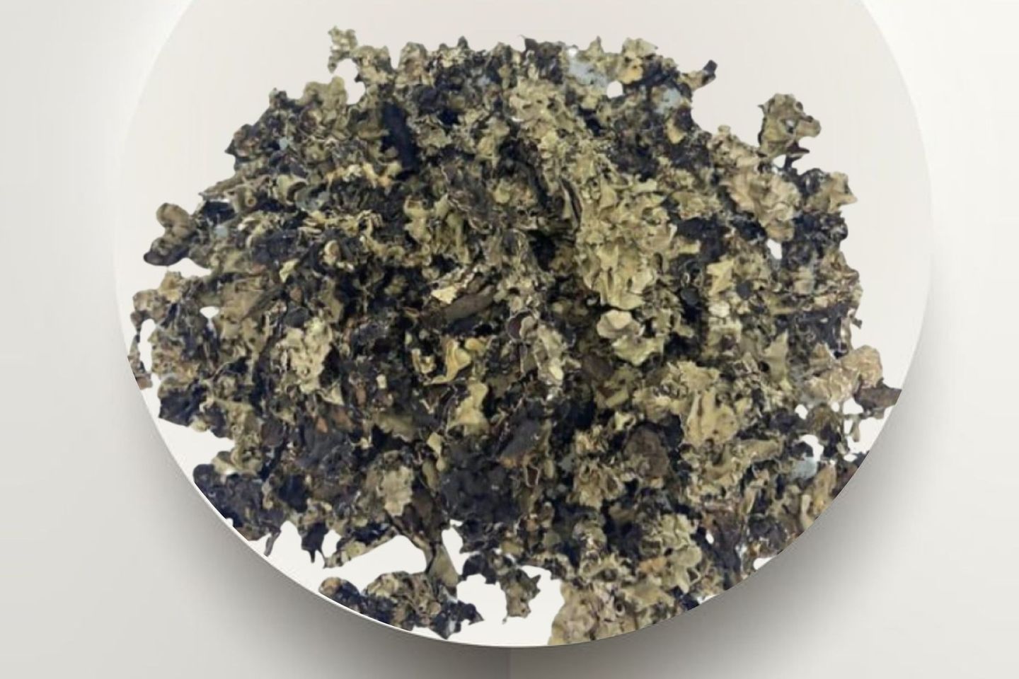 Shiba Herb 50g