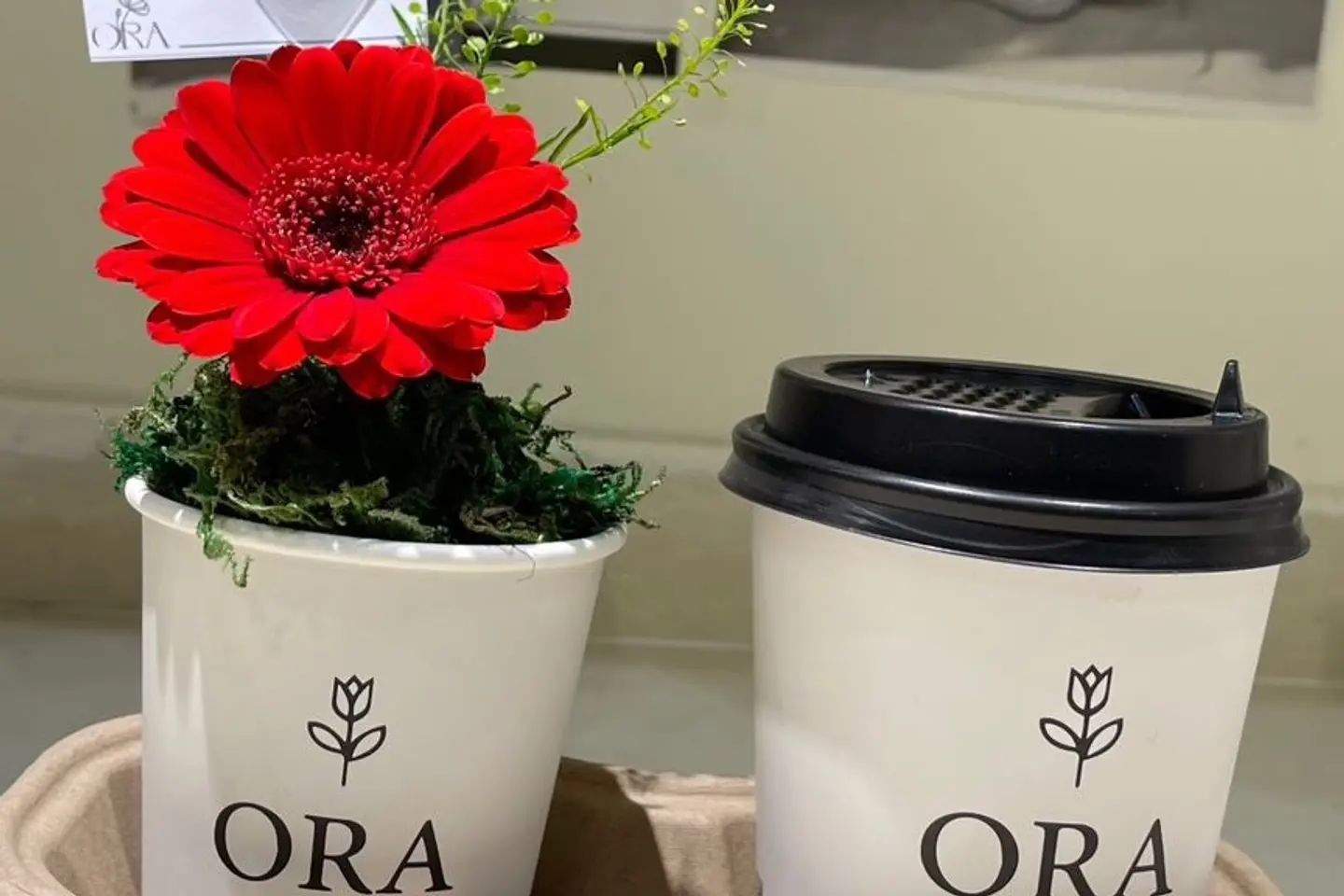 قهوه و باقة