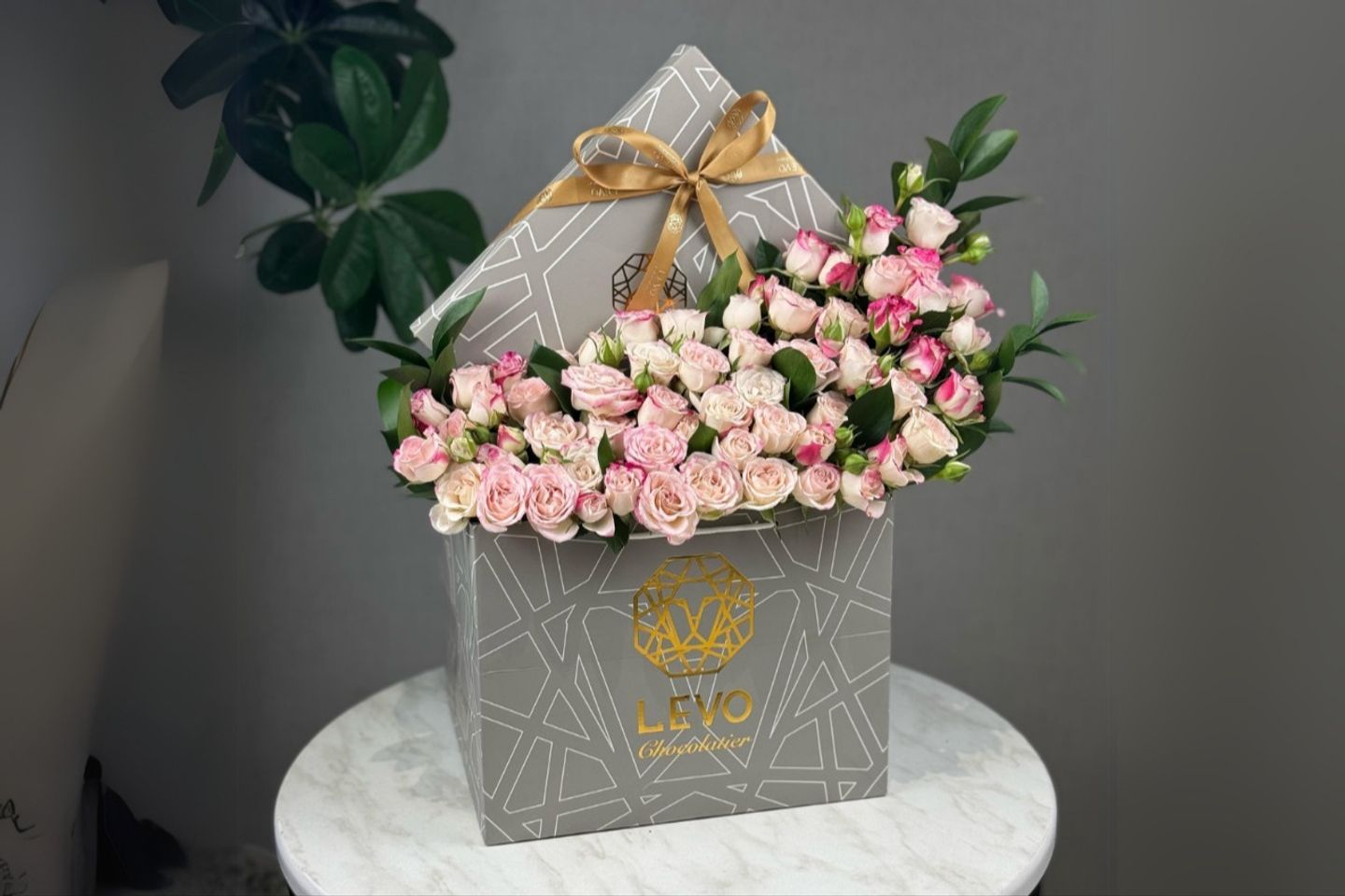 Levo Chocolate