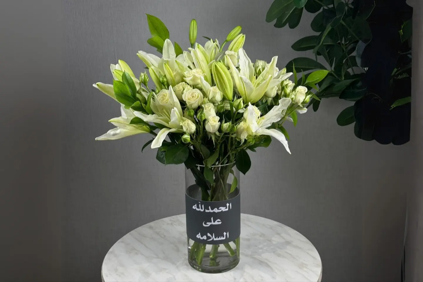 فازة مدرا