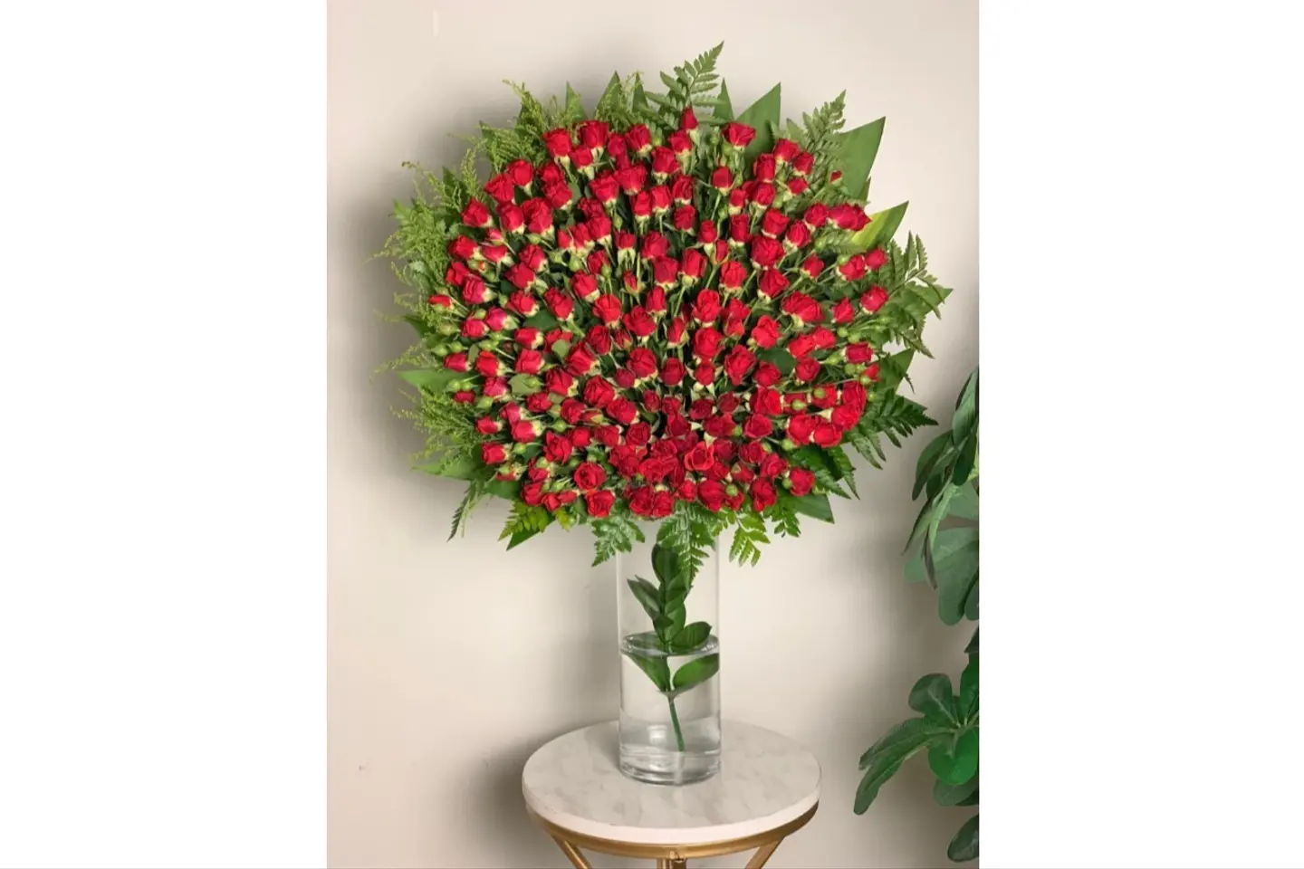 فازة ريماس