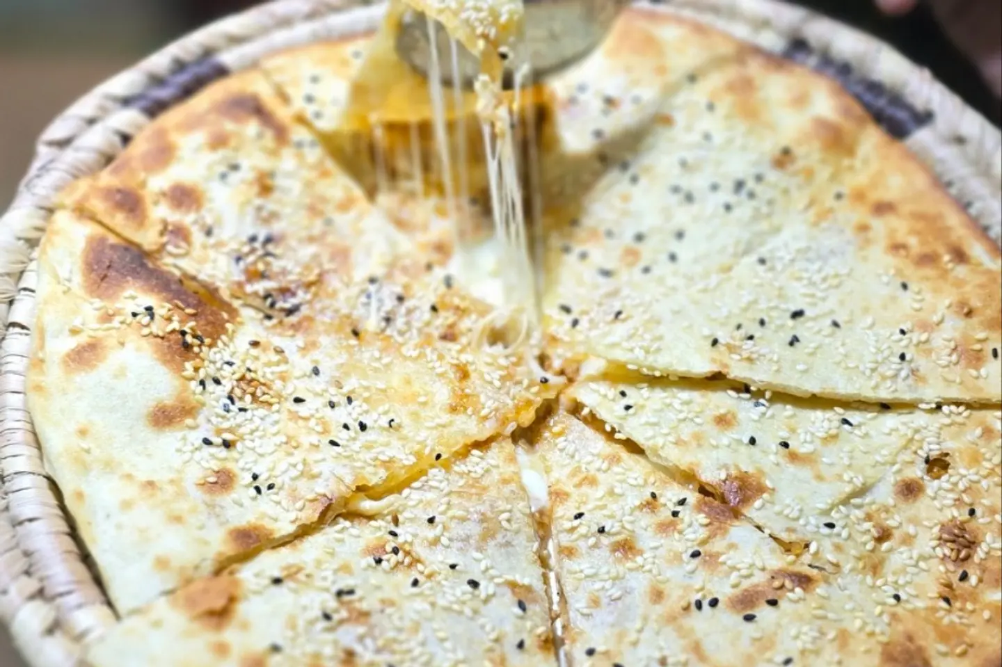 فطيرة دجاج و موزريلا و قشقوان