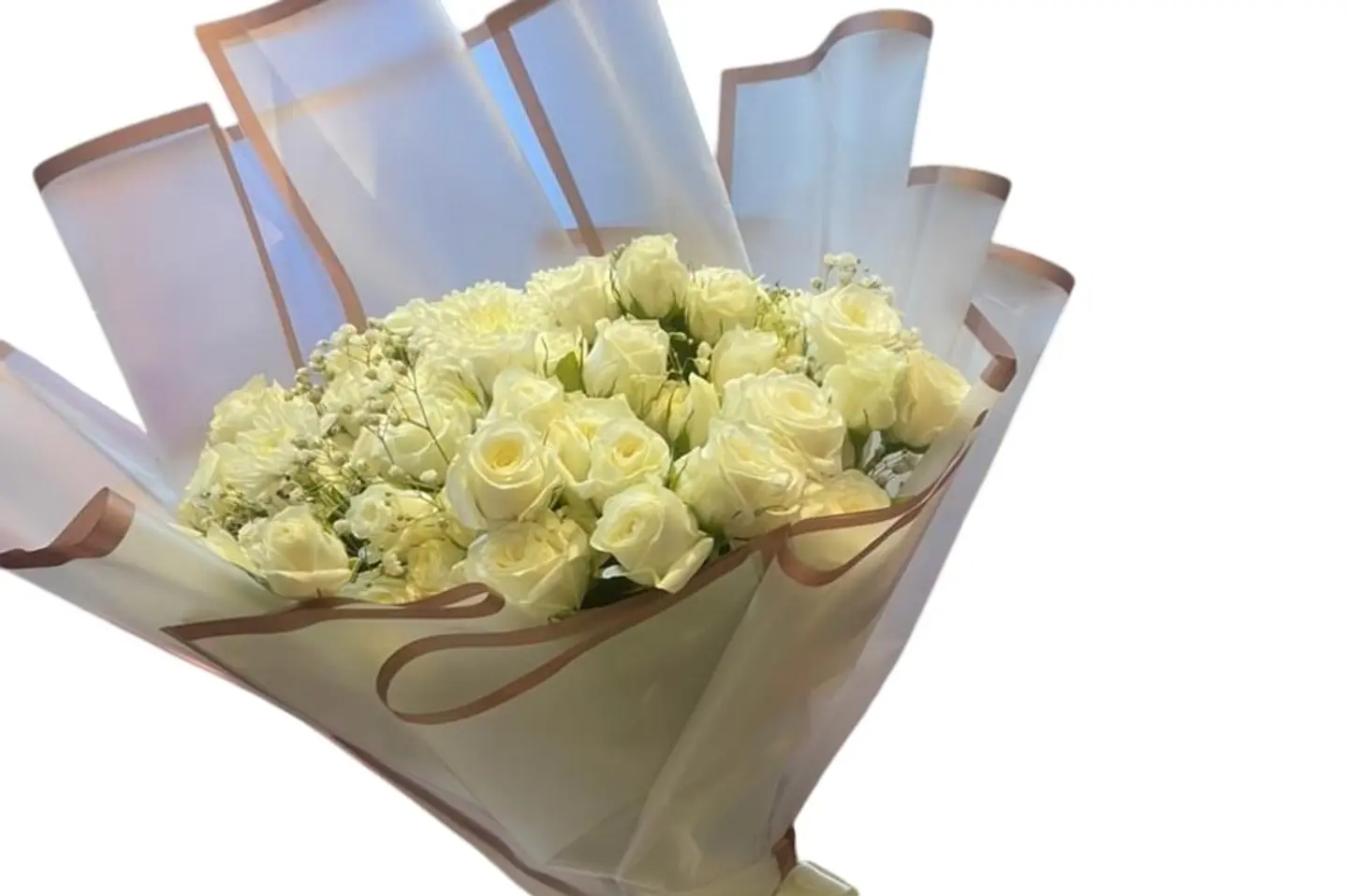 Marketing Judy Will Baby Judy