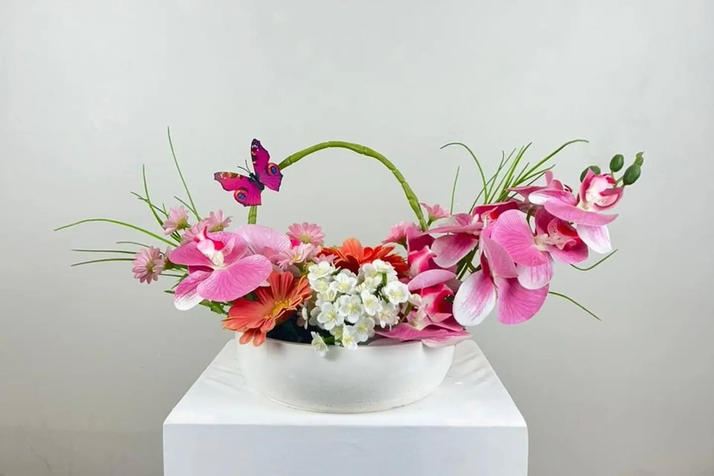 فازات جوناروز ١٨