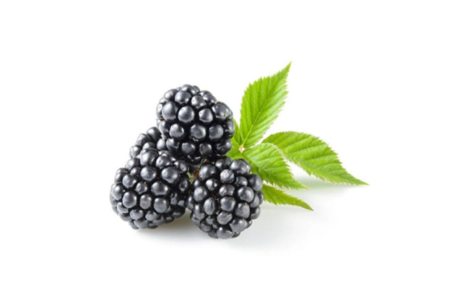 Imported Blackberries 125g