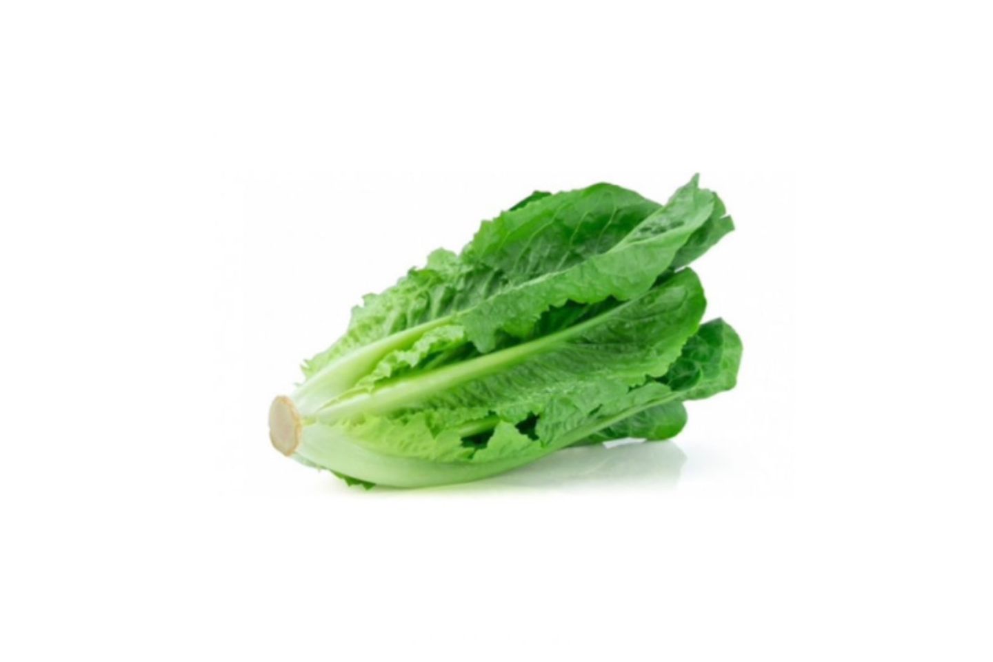 خس بلدي (حزمة)