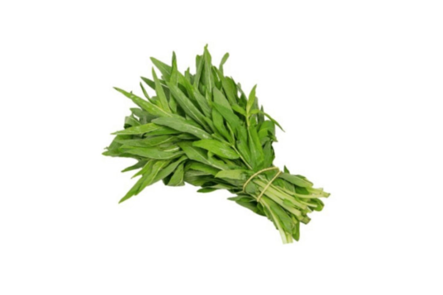 Basil (Habq) 1 Bundle