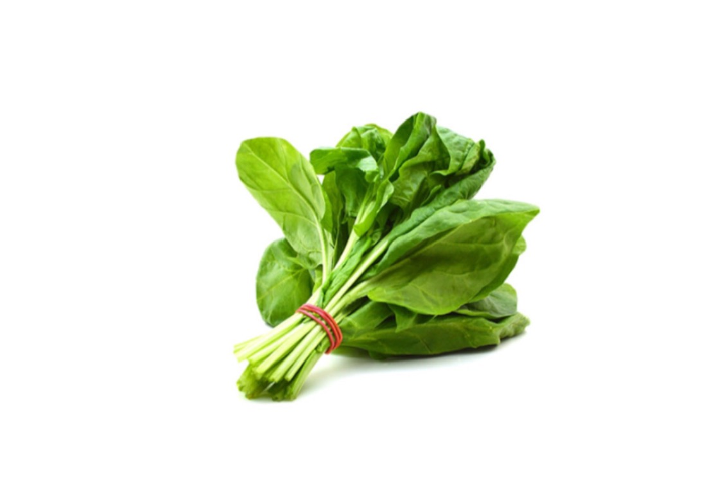 Spinach 1 Bundle