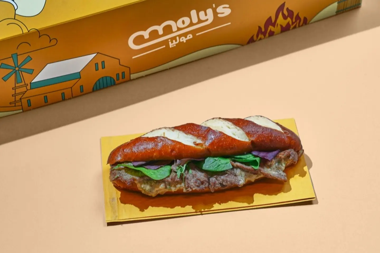 Steak Sandwich