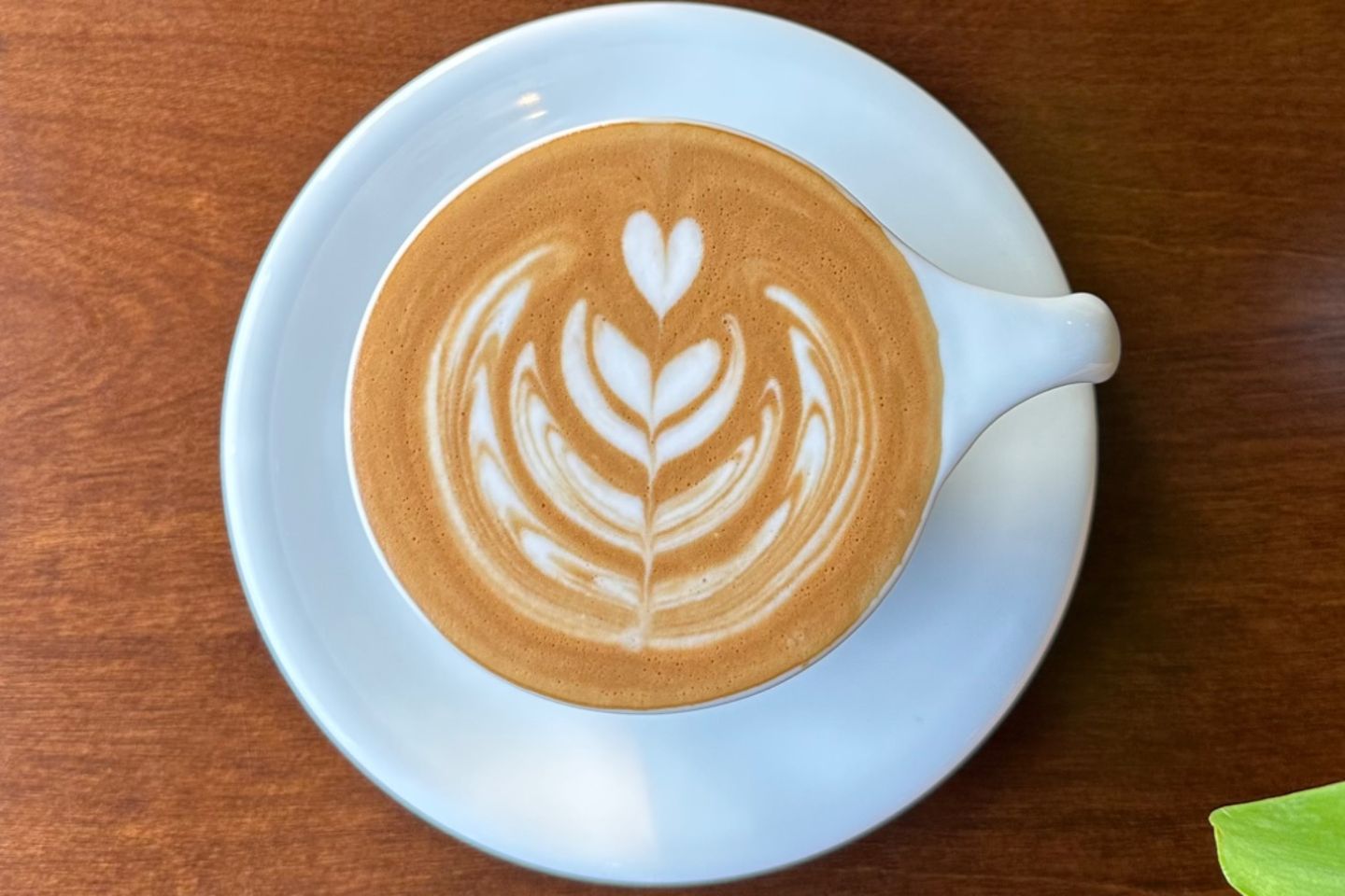 Hot Latte