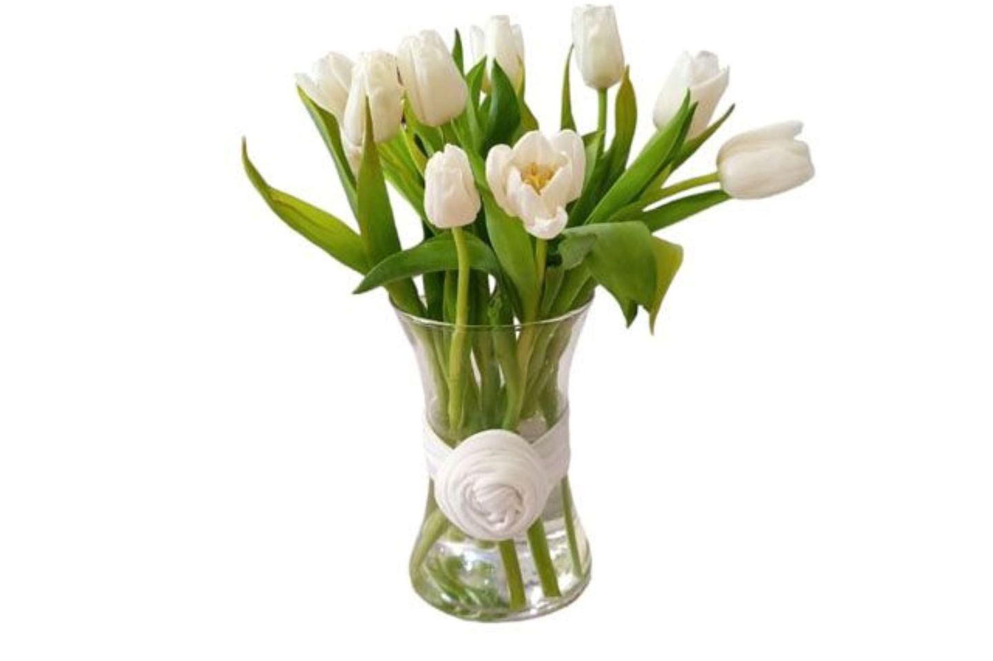 التوليب اللطيف